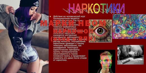 амфетамин Алексеевка