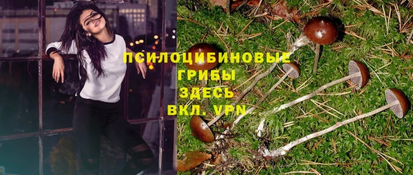 амфетамин Алексеевка