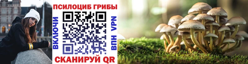 купить наркотики цена мориарти формула Галлюциногенные грибы Psilocybe Берёзовка
